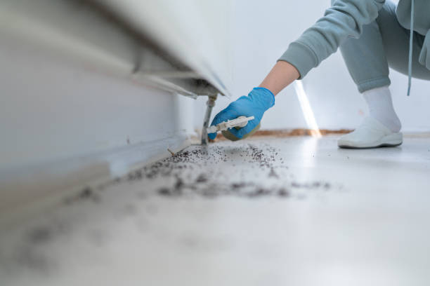 Best Pest Inspection Near Me  in Old River Winfree, TX